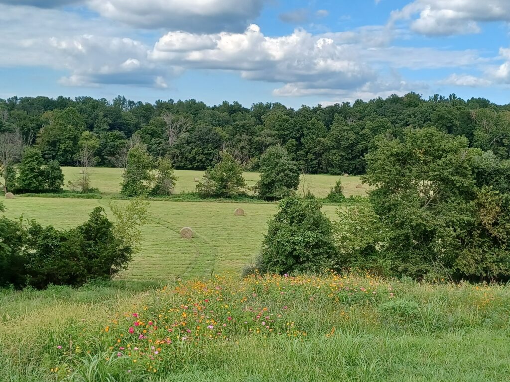 Huckleberry Homestead About Pix