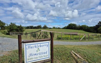 Welcome to the Homestead